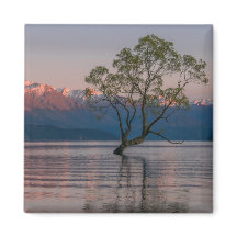 Wanaka Tree, Nieuw-Zeelandse magneet