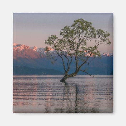 Wanaka Tree, Nieuw-Zeelandse magneet (Voorkant)
