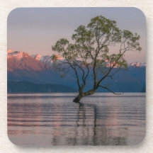 Wanaka Tree, Nieuw-Zeelandse Onderzetters