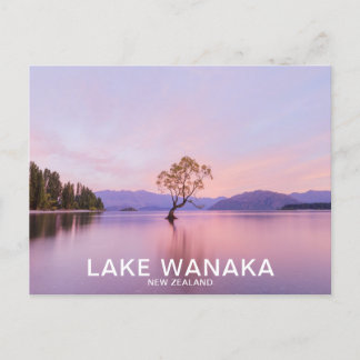 Wanaka Tree Sunrise Natuur Travel Briefkaart