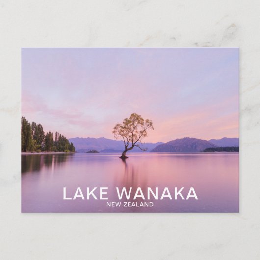 Wanaka Tree Sunrise Natuur Travel Briefkaart (Voorkant)