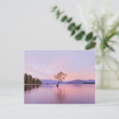 Wanaka Tree Sunrise Natuur Travel Photography Briefkaart (Staand voorkant)