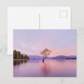 Wanaka Tree Sunrise Natuur Travel Photography Briefkaart (Voorkant / Achterkant)