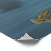 Wanda en een kogelvis poster (Hoek)