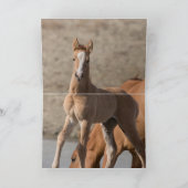 Wanda the Wild Filly Wild Horse Greeting Card Kaart (Binnen)