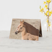 Wanda the Wild Filly Wild Horse Greeting Card Kaart (Gele Bloem)