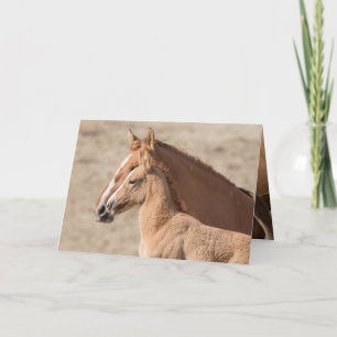 Wanda the Wild Filly Wild Horse Greeting Card Kaart
