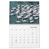 Wandagenda voor swans kalender (Jan 2027)
