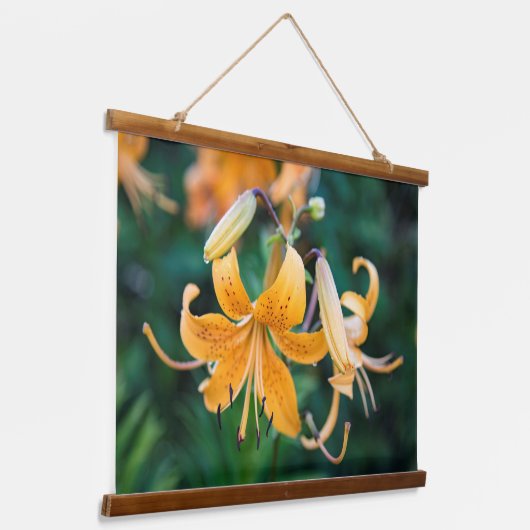 Wandbekleding Hangend Wandkleed (Gebogen)