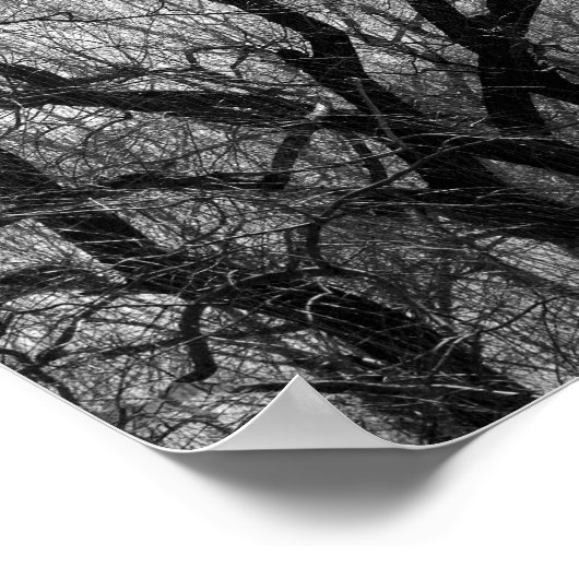 Wandbomen zwart en wit, zilhouette poster (Hoek)