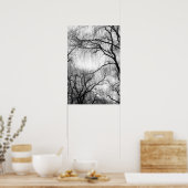 Wandbomen zwart en wit, zilhouette poster (Keuken)