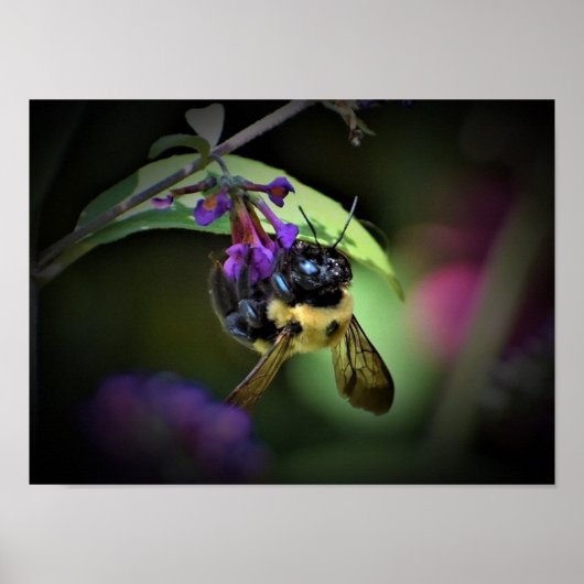 Wanddecoratie Poster (Voorkant)