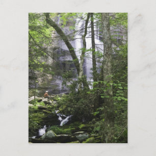 Wandelaar bewondert Falls Branch Falls Briefkaart