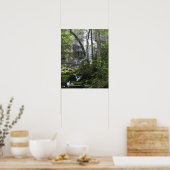 Wandelaar bewondert Falls Branch Falls Poster (Keuken)