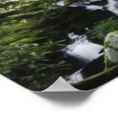 Wandelaar bewondert Falls Branch Falls Poster (Hoek)