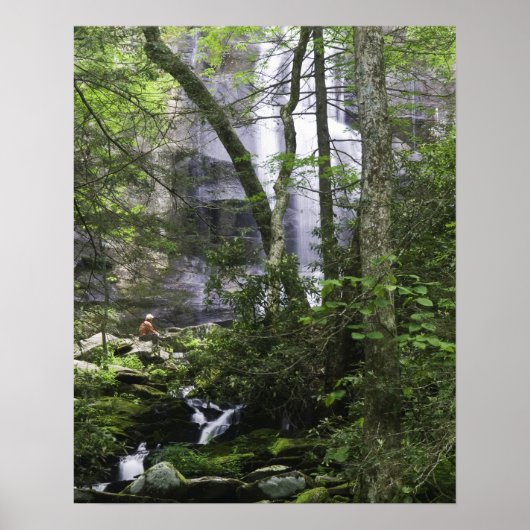 Wandelaar bewondert Falls Branch Falls Poster (Voorkant)