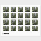 Wandelaar bewondert Falls Branch Falls Vierkante Sticker (Vel)