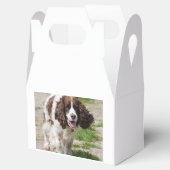 Wandelen Engels springer spaniel.png Bedankdoosjes (Geopend)