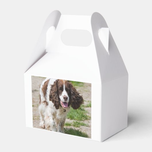 Wandelen Engels springer spaniel.png Bedankdoosjes (Voorkant Zijde)