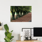 Wandelen in de bossen poster (Thuiskantoor)