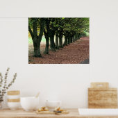 Wandelen in de bossen poster (Keuken)