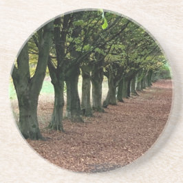 Wandelen in de bossen     zandsteen onderzetter