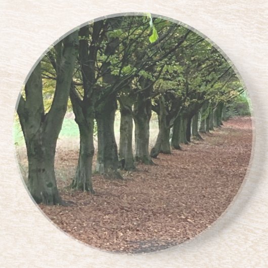 Wandelen in de bossen     zandsteen onderzetter (Voorkant)