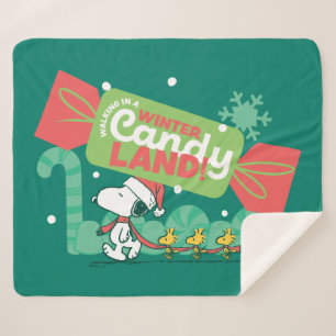 Wandelen in een winterse Snoep! Sherpa Deken