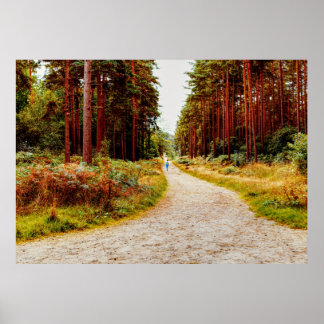 Wandelen in het bos in de natuur poster