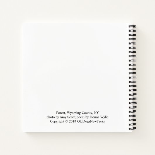 Wandelen in het geloof - Inspirerend Notitieboek (Achterkant)