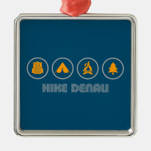 Wandelen Nationaal park Denali Alaska Metalen Ornament