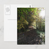 Wandelen op een Woodland Path in Northumberland Briefkaart (Voorkant / Achterkant)