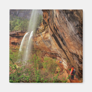 Wandelen over het Emerald Pools Trail in Zion Nati Magneet