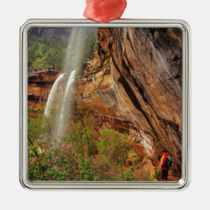 Wandelen over het Emerald Pools Trail in Zion Nati Metalen Ornament