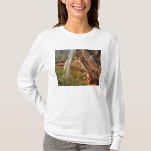 Wandelen over het Emerald Pools Trail in Zion Nati T-shirt