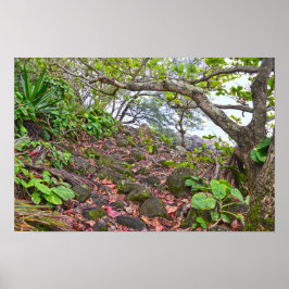 Wandelen over het Kalalau Trail, Napali-kust, Kaua Poster