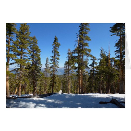 Wandelen vanaf Mitchell Peak in Sequoia (Voorkant Horizontaal)