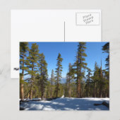 Wandelen vanaf Mitchell Peak in Sequoia Briefkaart (Voorkant / Achterkant)