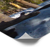 Wandelen vanaf Mitchell Peak in Sequoia Poster (Hoek)