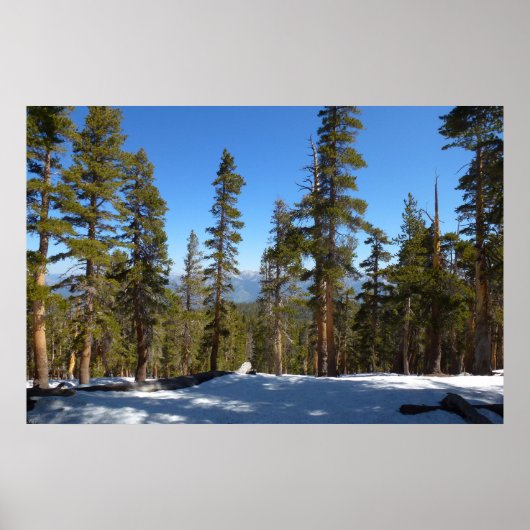 Wandelen vanaf Mitchell Peak in Sequoia Poster (Voorkant)