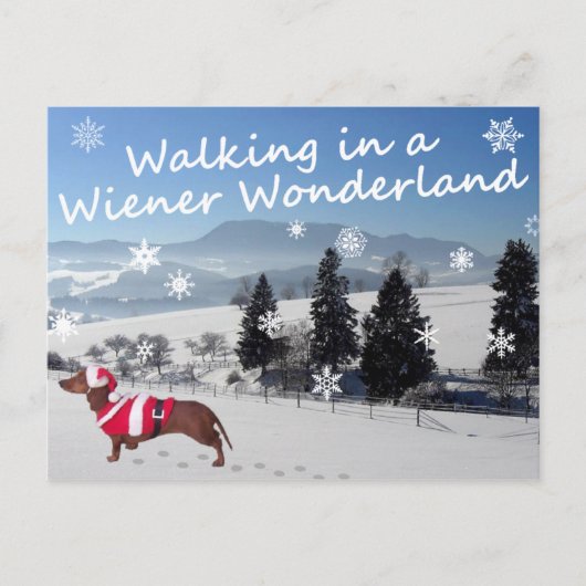 Wandelend in een Wiener Wonderland Briefkaart (Voorkant)