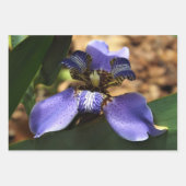 Wandelend irisverpakkingspapier inpakpapier vel (Voorkant 3)