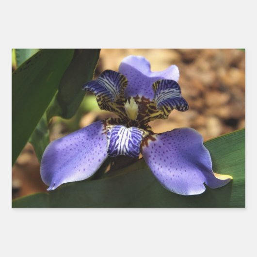 Wandelend irisverpakkingspapier inpakpapier vel (Voorkant 3)