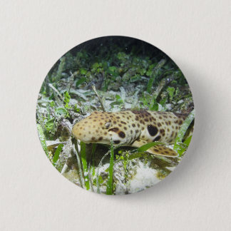 Wandelende epaulethaai op de Ampat-eilanden Raja Ronde Button 5,7 Cm