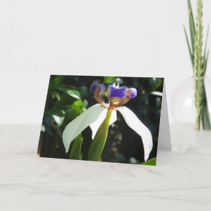 "Wandelende Iris 2." Wenskaart Kaart