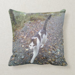Wandelende Kat Kussen