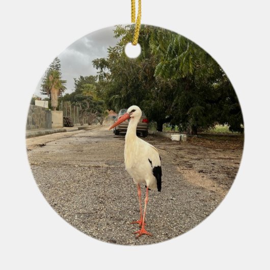 Wandelende Ooievaar Ornament (Voorkant)