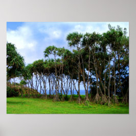  Wandelende palmbomen in Hawaï Poster