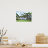 Wandelende palmbomen in Hawaï Poster (Keuken)