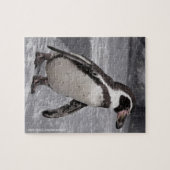 Wandelende Pinguïn Puzzel (Horizontaal)